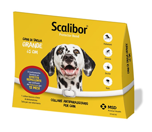 SCALIBOR PROTECTOR BAND*BI65CM - Farmacia De Pasquale