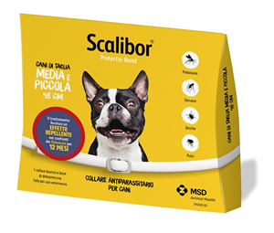 SCALIBOR PROTECTOR BAND*BI48CM - Farmacia De Pasquale