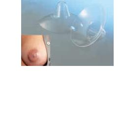 AMEDA CAPPELETTI SENO MEDIA 2 PEZZI - Farmacia De Pasquale