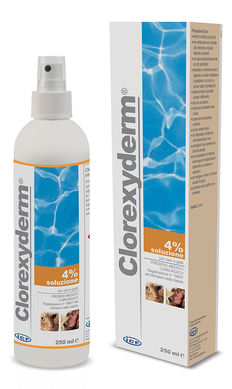 CLOREXYDERM SOLUZIONE 4% 250 ML - Farmacia De Pasquale