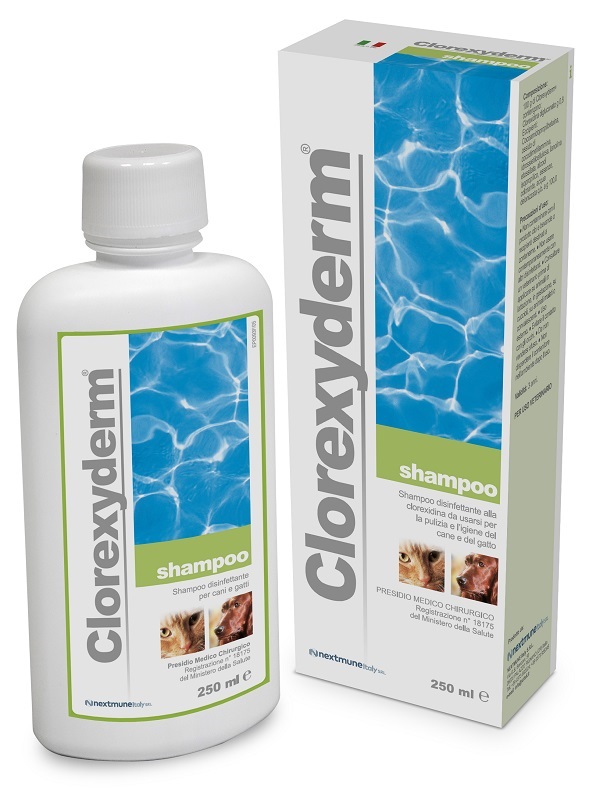 CLOREXYDERM SHAMPOO 250 ML - Farmacia De Pasquale