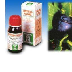 MIRTILLO 31 50ML TM - Farmacia De Pasquale