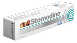 STOMODINE GEL GENGIVALE CANI 30 ML - Farmacia De Pasquale