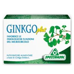 GINKGO PLUS 30 CAPSULE - Farmacia De Pasquale