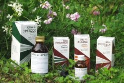 RAEMIL PROPOLI OLIO 25 ML - Farmacia De Pasquale