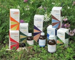 RAEMIL PROPOLI COMPOSTO 15 ML - Farmacia De Pasquale