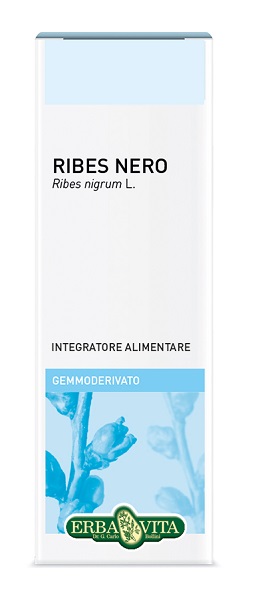 GEMMODERIVATO RIBES NERO 50 ML - Farmacia De Pasquale