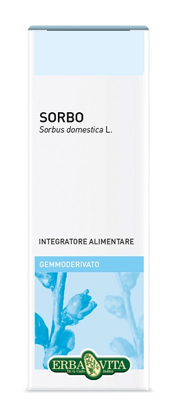 GEMMODERIVATO SORBO 50 ML - Farmacia De Pasquale