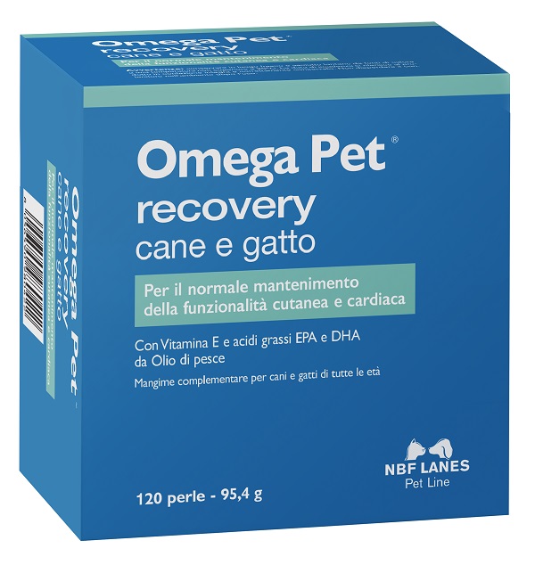 OMEGA PET RECOVERY BLISTER 120 PERLE - Farmacia De Pasquale