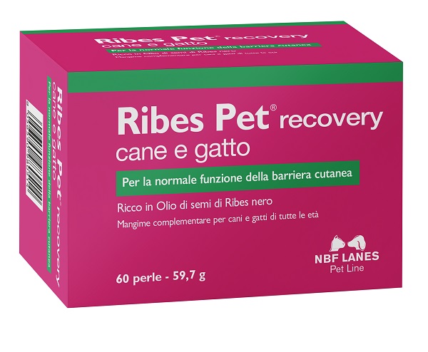 RIBES PET RECOVERY BLISTER 60 PERLE - Farmacia De Pasquale