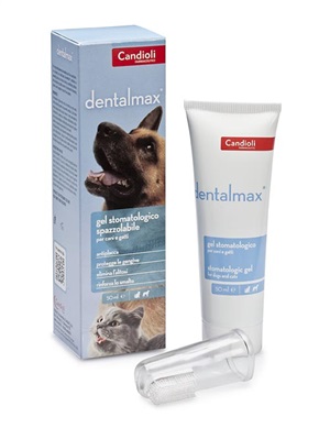 DENTALMAX GEL STOMATOLOGICO 50 ML - Farmacia De Pasquale