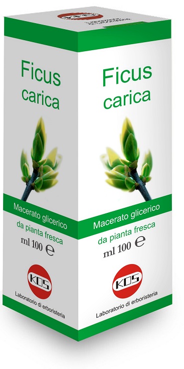 FICUS CARICA MACERATO GLICERICO 100 ML - Farmacia De Pasquale