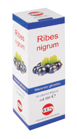 RIBES NIGRUM MACERATO GLICERICO 100 ML GOCCE - Farmacia De Pasquale