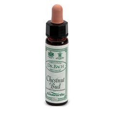 AINSWORTHS CHESTNUT BUD 10ML - Farmacia De Pasquale