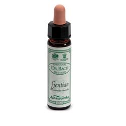 AINSWORTHS GENTIAN 10ML - Farmacia De Pasquale