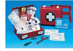 CASSETTA PRONTO SOCCORSO FAMILY PER CAMPEGGIO, BRICOLAGE, CASA E UFFICIO. CONTENITORE IN ABS ANTIURTO CON SUPPORTO PER IL FISSAGGIO ALLA PARETE - Farmacia De Pasquale