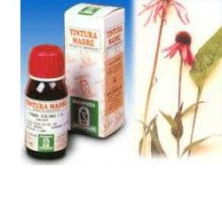 ECHINACEA 59 50ML TM - Farmacia De Pasquale