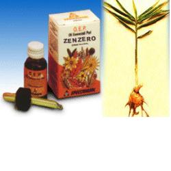 ZENZERO OLIO ESSENZIALE PURO 10 ML - Farmacia De Pasquale
