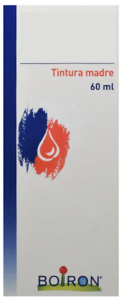 THUYA OCCIDENTALIS TINTURA MADRE 60 ML - Farmacia De Pasquale