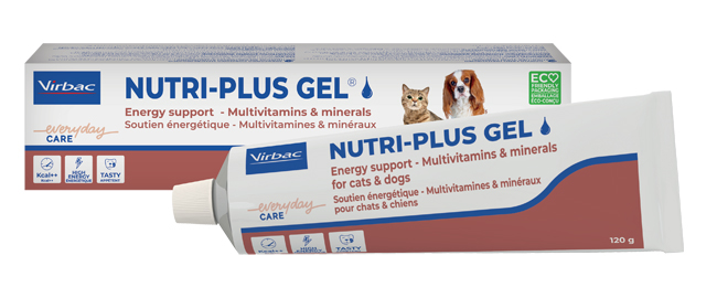 NUTRIPLUS GEL PASTA ORALE 120 G - Farmacia De Pasquale