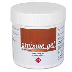 ARNIXINE GEL 750 ML - Farmacia De Pasquale