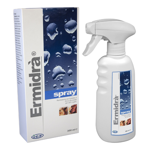ERMIDRA' SPRAY 300 ML - Farmacia De Pasquale