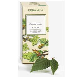 FICUS CARICA GEMME GEMMODERIVATO BIO 50 ML - Farmacia De Pasquale