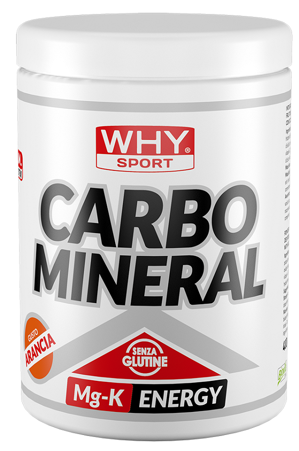 WHYSPORT CARBO MINERAL 400 G - Farmacia De Pasquale
