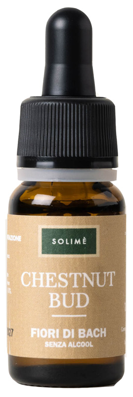 CHESTNUT BUD 10 ML - Farmacia De Pasquale