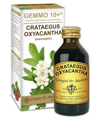 GEMMO 10+ BIANCOSPINO LIQUIDO ANALCOLICO 100 ML - Farmacia De Pasquale