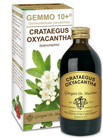 GEMMO 10+ BIANCOSPINO LIQUIDO ANALCOLICO 200 ML - Farmacia De Pasquale