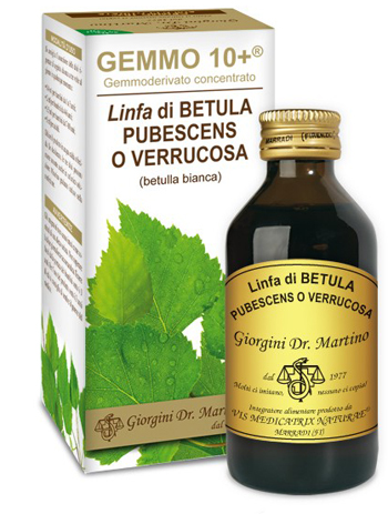 GEMMO 10+ BETULLA B LINFA 100 ML LIQUIDO ANALCOLICO - Farmacia De Pasquale