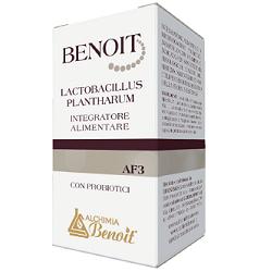 BENOIT LACTOBACILLUS PLANTHARUM 30 CAPSULE - Farmacia De Pasquale