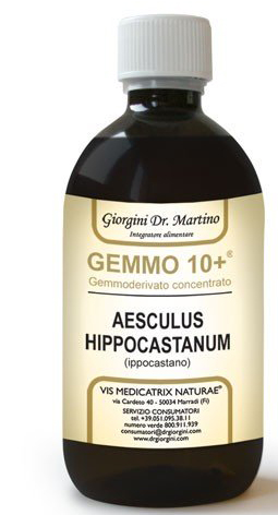 GEMOO 10+ GEMMODERIVATO CONCENTRATO IPPOCASTANO LIQUIDO ANALCOLICO AESCULUS HIPPOCASTANUM IPPOCASTANO 500 ML - Farmacia De Pasquale