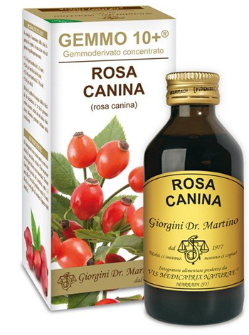 GEMMO 10+ ROSA CANINA LIQUIDO ANALCOLICO 100 ML - Farmacia De Pasquale