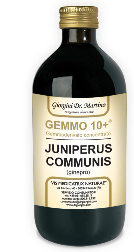GEMMO 10+ GINEPRO 500 ML LIQUIDO ANALCOLICO - Farmacia De Pasquale