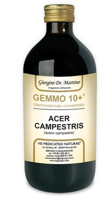 GEMMO 10+ ACERO CAMPESTRE 500 ML LIQUIDO ANALCOLICO - Farmacia De Pasquale