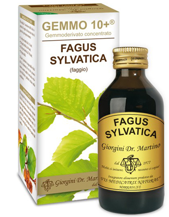 GEMMO 10+ FAGGIO 100 ML LIQUIDO ANALCOLICO - Farmacia De Pasquale