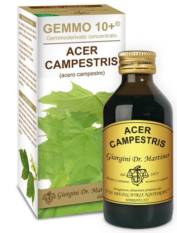 GEMMO 10+ ACERO CAMPESTRE 100 ML LIQUIDO ANALCOLICO - Farmacia De Pasquale