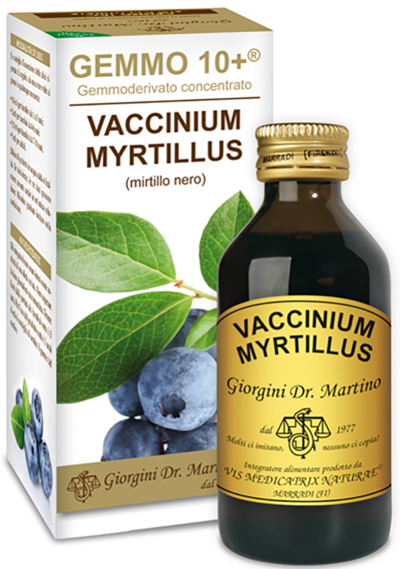 GEMMO 10+ GEMMODERIVATO CONCENTRATO VACCINIUM MYRTILLUS MIRTILLO NERO SENZA ALCOOL 100 ML - Farmacia De Pasquale