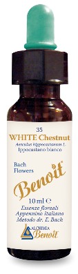 FIORI DI BACH BENOIT WHITE CHESTNUT 10 ML - Farmacia De Pasquale