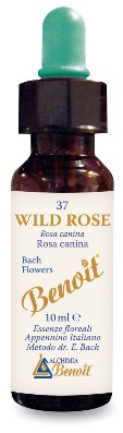 FIORI DI BACH BENOIT WILD ROSE 10 ML - Farmacia De Pasquale