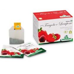 INFUSO BIO FRAGOLA E LAMPONE 20 FILTRI - Farmacia De Pasquale