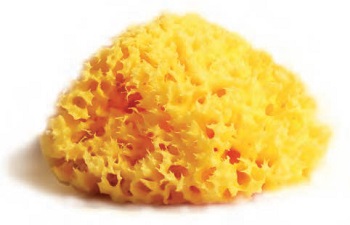 SPUGNA NATURALE MEDITERRANEA LABORATORI ATENEI 12 - Farmacia De Pasquale