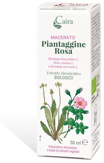 CAIRA PIANTAGGINE ROSA MACERATO IDROALCOLICO GOCCE 50 ML - Farmacia De Pasquale