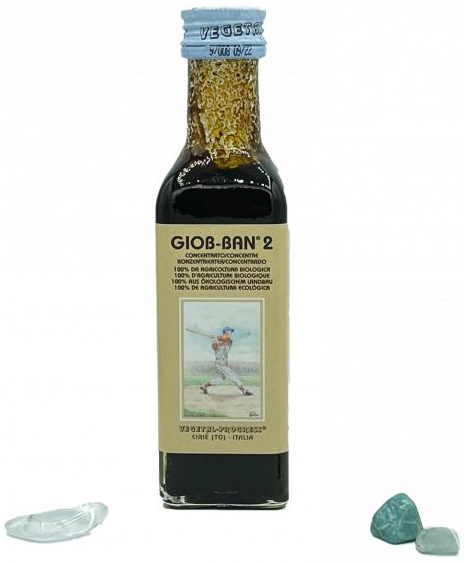 GIOB BAN 2 ART ESTRATTO CONCENTRATO BIOLOGICO 100 ML - Farmacia De Pasquale