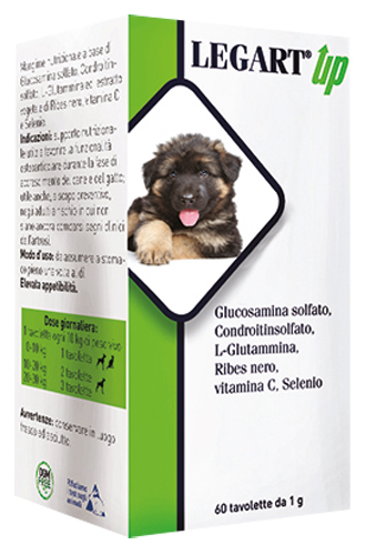 LEGART UP 60 COMPRESSE DA 1 G - Farmacia De Pasquale