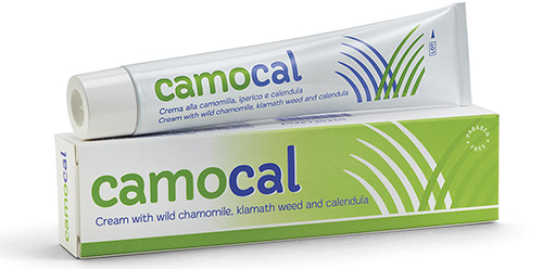 CREMA VEGETALE PER LE AFFEZIONI ANALI CAMOCAL 50 ML - Farmacia De Pasquale
