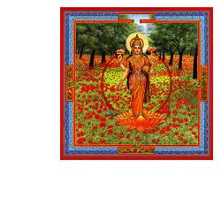 NEESHA-MA GOCCE 30 ML - Farmacia De Pasquale