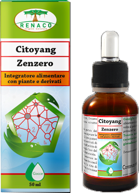 CITOYANG ZENZERO GOCCE FLACONCINO 50 ML - Farmacia De Pasquale